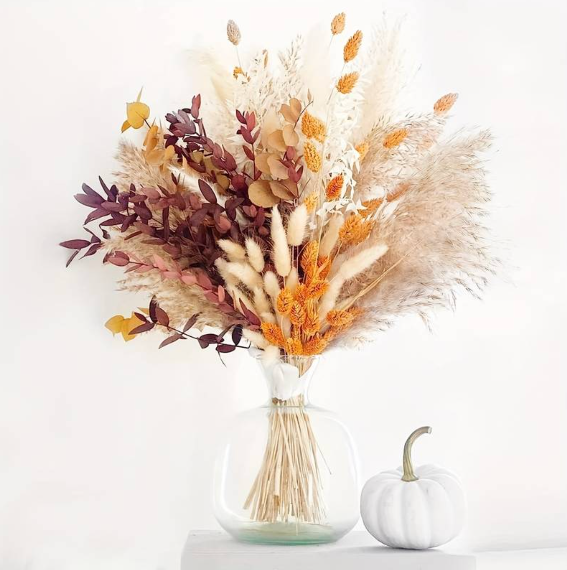 Beautiful Letterbox Flowers
